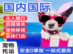 西郊航空快运国际宠物托运 【国